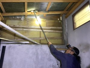 Tim Emergency Response Palangka Raya Evakuasi Ular Piton di Atap Rumah Warga