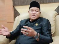 Ketua Komisi II DPRD Murung Raya, Bebie, mengapresiasi program listrik desa