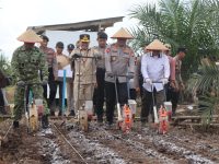 Kapolda Kalteng dan Gubernur Kalteng menanam jagung di sela sawit PT MKM di Pulang Pisau