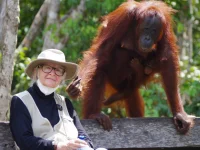 Prof. Dr. Birute Mary Galdikas bersama orangutan di Tanjung Puting