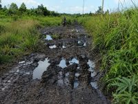 Jalan rusak menuju Desa Soren di Kecamatan Kota Besi, Kotawaringin Timur.
