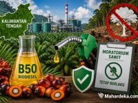 Gubernur Kalimantan Tengah Agustiar Sabran menyampaikan dukungan terhadap program biodiesel B50.