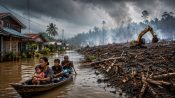 Kawasan hutan Kalimantan yang mengalami deforestasi akibat ekspansi perkebunan, pertambangan, dan industri kehutanan