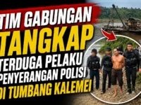 Tim gabungan Polda Kalteng menangkap terduga pelaku penyerangan polisi di Tumbang Kalemei