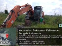 Alat berat diduga digunakan dalam aktivitas penggarapan kawasan HPK Sukamara Kalimantan Tengah