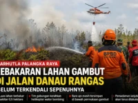 Ilustrasi Tim gabungan memadamkan kebakaran lahan gambut di Jalan Danau Rangas, Palangka Raya.