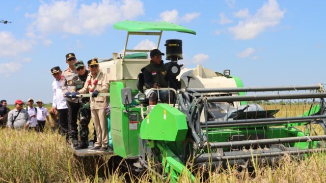 Kapolda Kalteng dan Gubernur Agustiar Sabran panen raya padi bersama petani di Kapuas