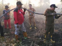 Tim DALKARHUTLA Dinas Kehutanan Kalteng memadamkan Karhutla di Tumbang Nusa Pulang Pisau.