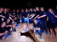 Lima terduga pelaku penyerangan anggota Satresnarkoba Polres Katingan saat diamankan aparat kepolisian.