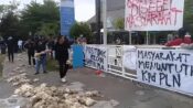 Demo Jilid II PLN Palangka Raya massa melempar bangkai ayam sebagai simbol kerugian akibat pemadaman listrik.