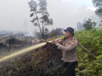 Personel Ditsamapta Polda Kalteng melakukan pemadaman Karhutla Pulang Pisau di Tumbang Nusa