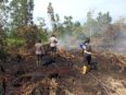 Personel Satgas Aman Nusa Polda Kalteng memadamkan kebakaran hutan dan lahan di Kalimantan Tengah