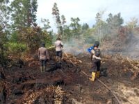 Personel Satgas Aman Nusa Polda Kalteng memadamkan kebakaran hutan dan lahan di Kalimantan Tengah